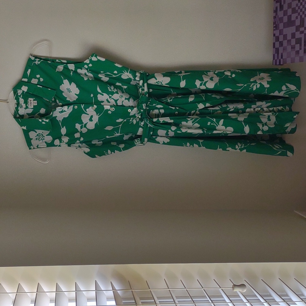 JCrew Factory Sleeveless Collared Button Front Dress